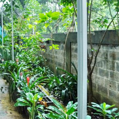 Kebun Biologi1