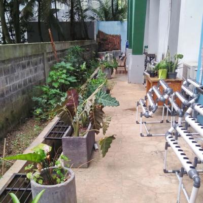 Kebun Biologi3